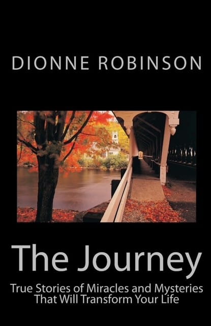 The Journey book cover